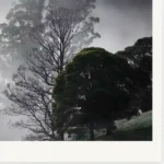 Dream limited edition fine art photography print of a misty valley landscape by Tasmanian Artist Emma Coombes at the Elm and the Raven