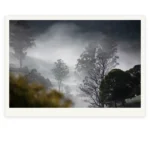Dream limited edition fine art photography print of a misty valley landscape by Tasmanian Artist Emma Coombes at the Elm and the Raven