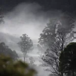 Dream limited edition fine art photography print of a misty valley landscape by Tasmanian Artist Emma Coombes at the Elm and the Raven