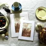 Fagus Sunset Mini Print - mini art prints from Emma Coombes at the Elm and the Raven. Alpine Wilderness and Tasmania's deciduous Fagus art photography