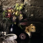 'The Visitor' Tasmania Still Life Limited Edition by Emma Coombes at the Elm & the Raven - Finalist in the 2025 Henry Jones Art Prize