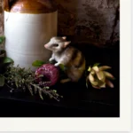 A Springtime Caller Tasmania Still Life Limited Edition by Emma Coombes at the Elm & the Raven