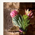 A Springtime Caller Tasmania Still Life Limited Edition by Emma Coombes at the Elm & the Raven