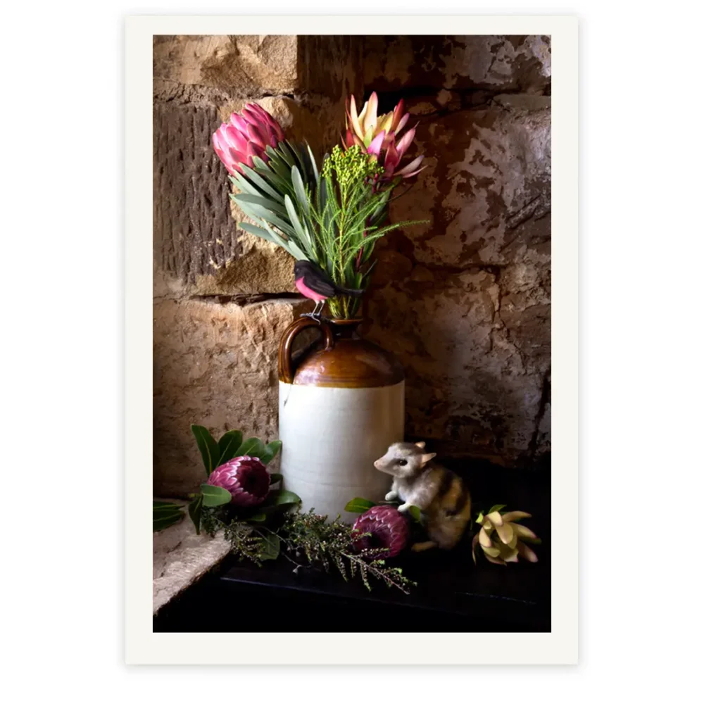 A Springtime Caller Tasmania Still Life Limited Edition by Emma Coombes at the Elm & the Raven