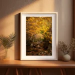 Golden Beech Road by Tasmanian Photographer Emma Coombes at the Elm and the Raven. Finalist in the 2026 Australian Photography Landscape Awards.