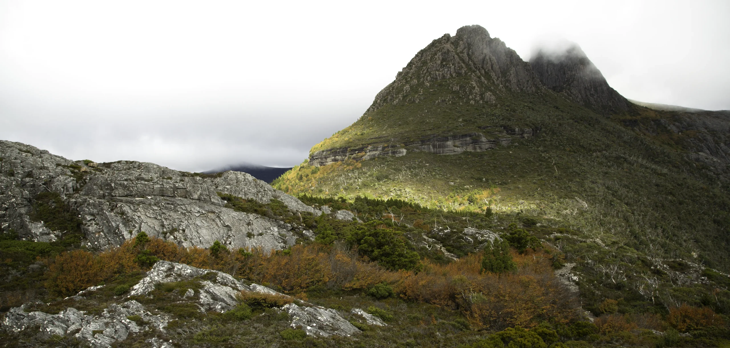Cradle Mountain Collection through the seasons from artist Emma Coombes at the Elm & the Raven