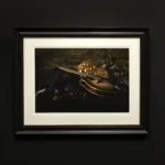 'The Spotted Minstrel' 1/8 (Framed) Tasmania Still Life Limited Edition by Emma Coombes at the Elm & the Raven