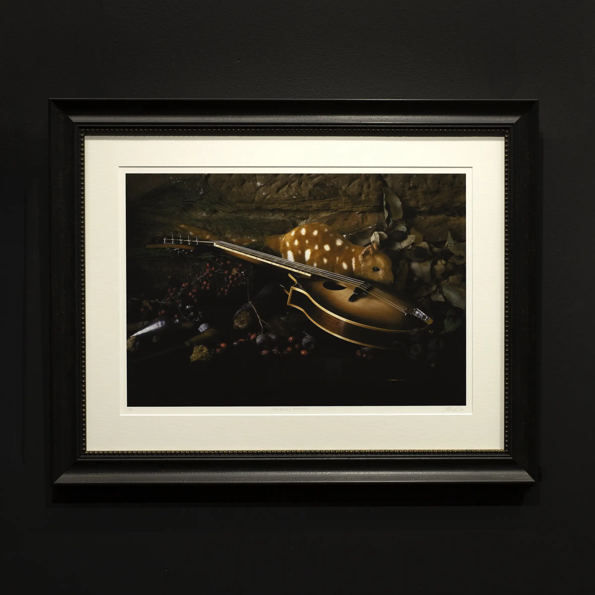 'The Spotted Minstrel' 1/8 (Framed) Tasmania Still Life Limited Edition by Emma Coombes at the Elm & the Raven