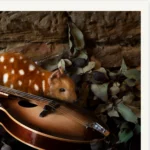 The Spotted Minstrel' Tasmanian Still Life Limited Edition by Emma Coombes at the Elm & the Raven