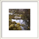 'Chroma' square limited edition by Emma Coombes at the Elm & the Raven.
