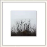 'The Witches Circle' square limited edition by Emma Coombes at the Elm & the Raven.