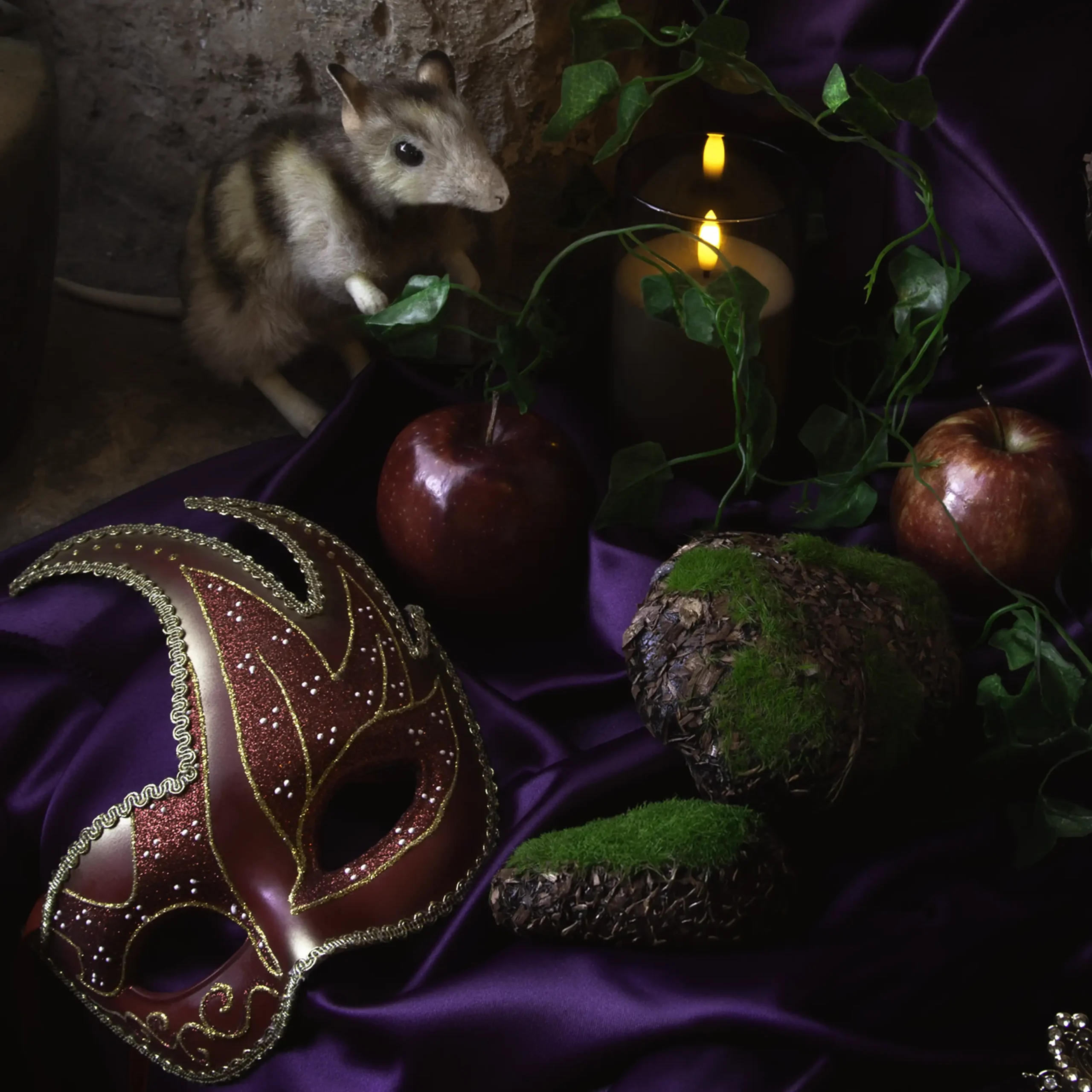 'Black Forest' Tasmanian Still Life Limited Edition by Emma Coombes at the Elm & the Raven