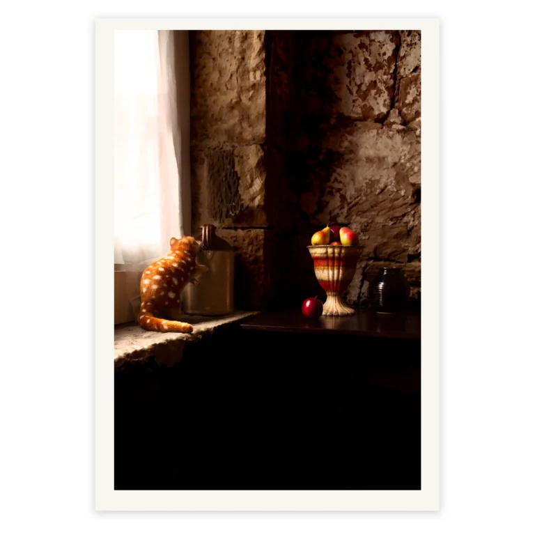 'Curiosity' Tasmanian Still Life Limited Edition by Emma Coombes at the Elm & the Raven