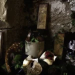 'Fallen Empire' Tasmanian Still Life Limited Edition by Emma Coombes at the Elm & the Raven