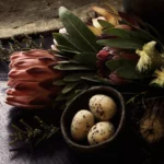'Favourite Things' Tasmanian Still Life Limited Edition by Emma Coombes at the Elm & the Raven