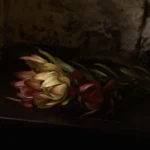 'Flames' Tasmanian Still Life Limited Edition by Emma Coombes at the Elm & the Raven