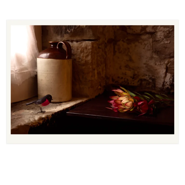 'Flames' Tasmanian Still Life Limited Edition by Emma Coombes at the Elm & the Raven