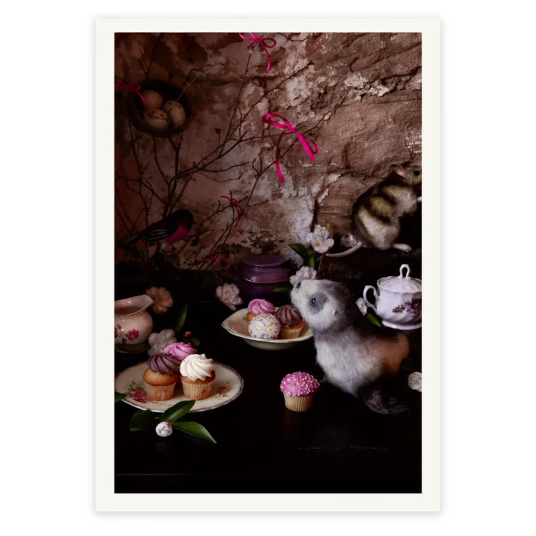 'Friendship' Tasmanian Still Life Limited Edition by Emma Coombes at the Elm & the Raven
