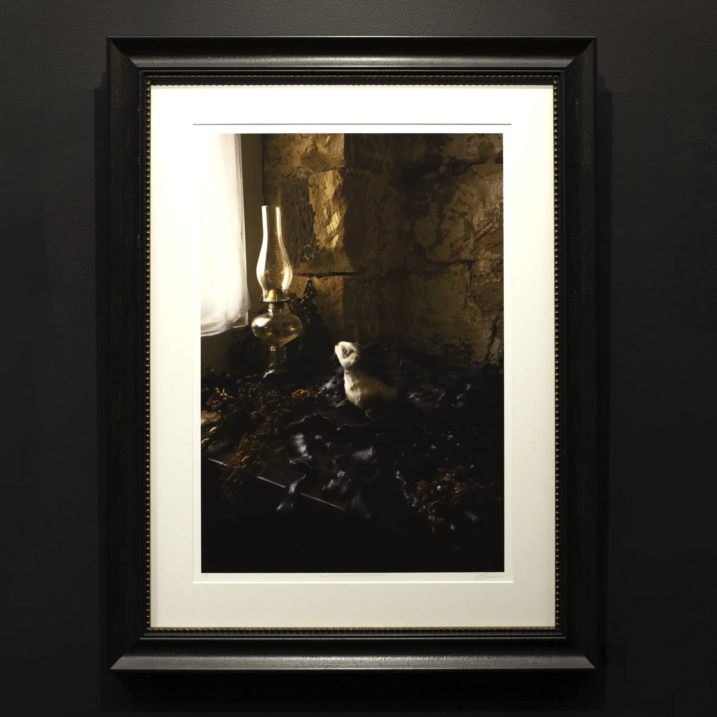 'From Where the Sirens Sing' 1/8 (Framed) Tasmania Still Life Limited Edition by Emma Coombes at the Elm & the Raven