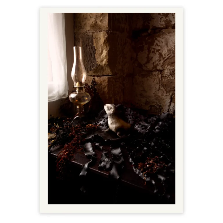 'From Where the Sirens Sing' Tasmanian Still Life Limited Edition by Emma Coombes at the Elm & the Raven