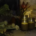 'Icon' Tasmanian Still Life Limited Edition by Emma Coombes at the Elm & the Raven