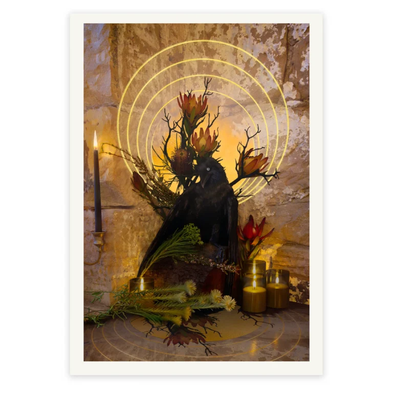 'Icon' Tasmanian Still Life Limited Edition by Emma Coombes at the Elm & the Raven