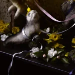 'Midsommer' Tasmanian Still Life Limited Edition by Emma Coombes at the Elm & the Raven