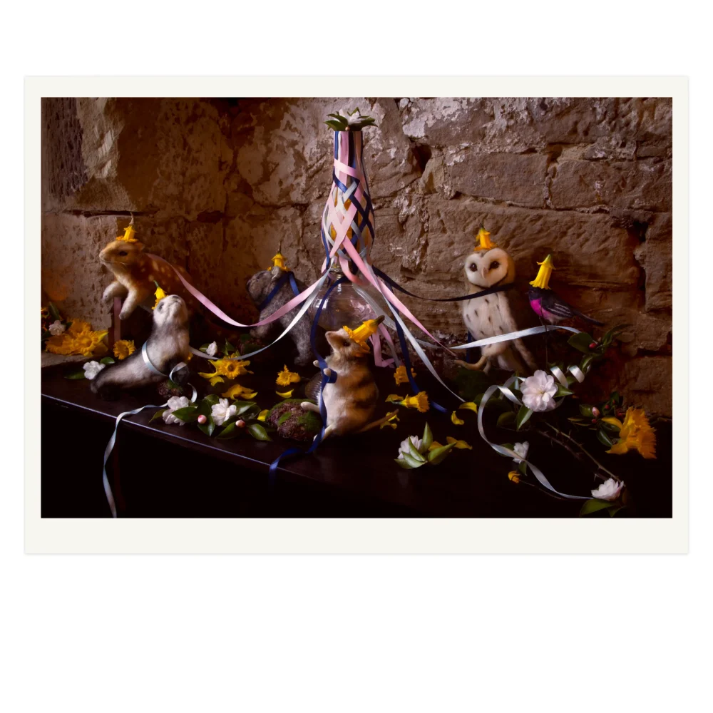 'Midsommer' Tasmanian Still Life Limited Edition by Emma Coombes at the Elm & the Raven