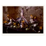 'Midsommer' Tasmanian Still Life Limited Edition by Emma Coombes at the Elm & the Raven