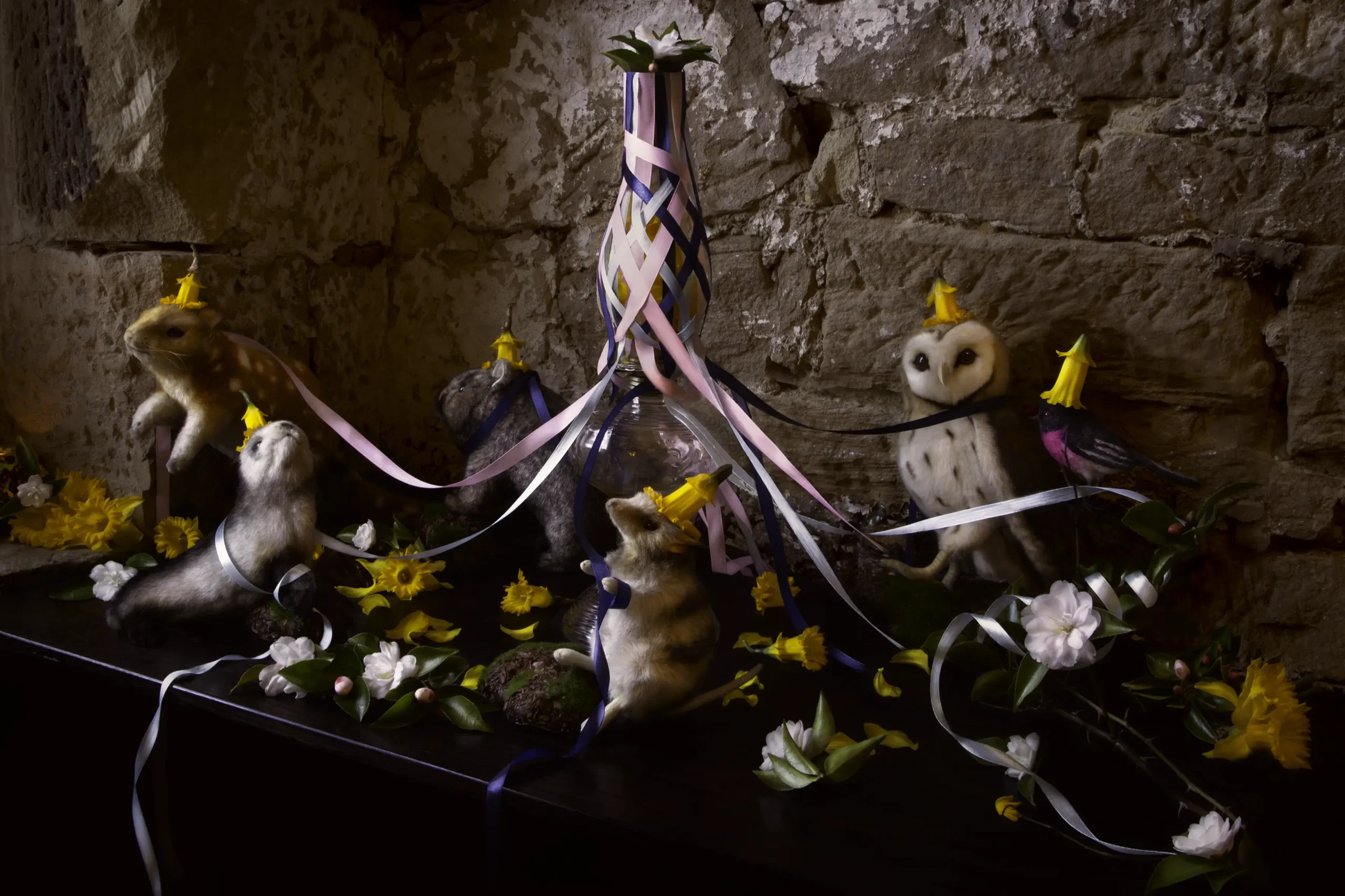 'Midsommer' Tasmanian Still Life Limited Edition by Emma Coombes at the Elm & the Raven