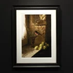 'PinkDandy' 1/8 (Framed) Tasmania Still Life Limited Edition by Emma Coombes at the Elm & the Raven