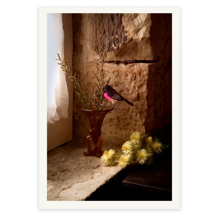 'Pink Dandy' Tasmanian Still Life Limited Edition by Emma Coombes at the Elm & the Raven