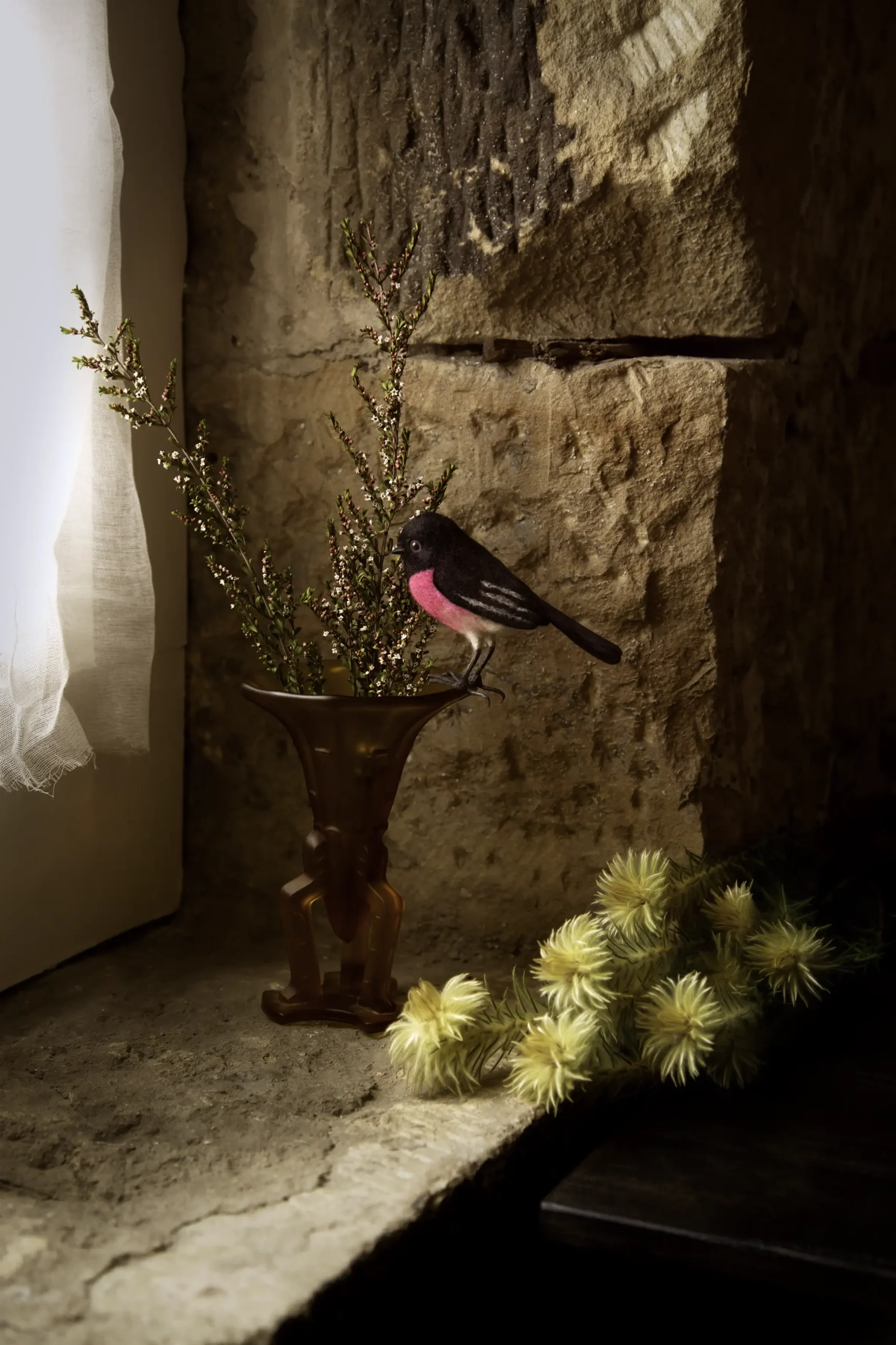 'Pink Dandy' Tasmanian Still Life Limited Edition by Emma Coombes at the Elm & the Raven