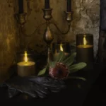 'Ritual' Tasmanian Still Life Limited Edition by Emma Coombes at the Elm & the Raven