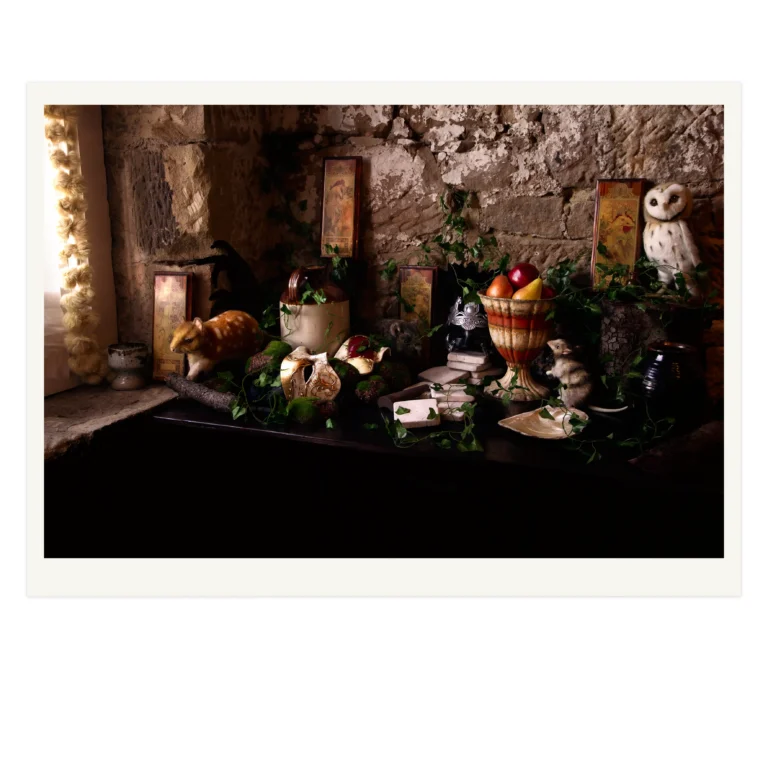 'Roman Forum' Tasmanian Still Life Limited Edition by Emma Coombes at the Elm & the Raven