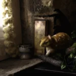 'Roman Forum' Tasmanian Still Life Limited Edition by Emma Coombes at the Elm & the Raven