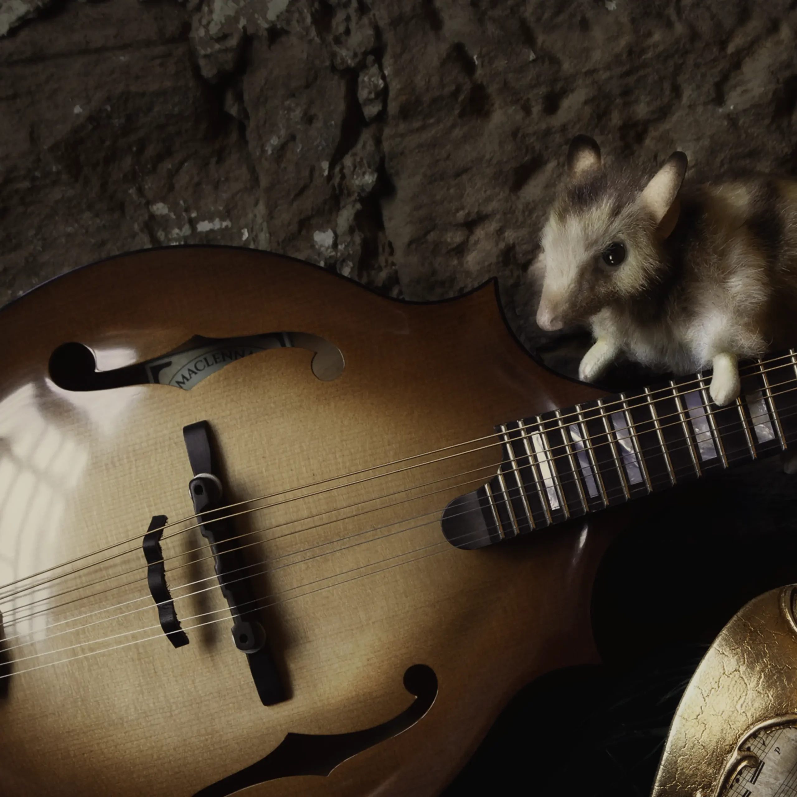 'The Band' Tasmanian Still Life Limited Edition by Emma Coombes at the Elm & the Raven