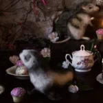 'The Birthday Party' Tasmanian Still Life Limited Edition by Emma Coombes at the Elm & the Raven