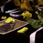 'The Fortune Teller' Tasmanian Still Life Limited Edition by Emma Coombes at the Elm & the Raven