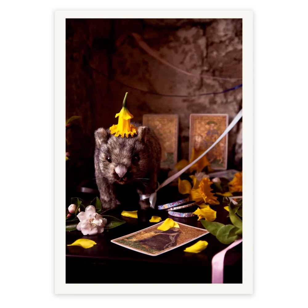 'The Fortune Teller' Tasmanian Still Life Limited Edition by Emma Coombes at the Elm & the Raven