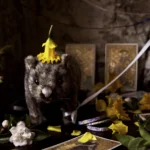 'The Fortune Teller' Tasmanian Still Life Limited Edition by Emma Coombes at the Elm & the Raven