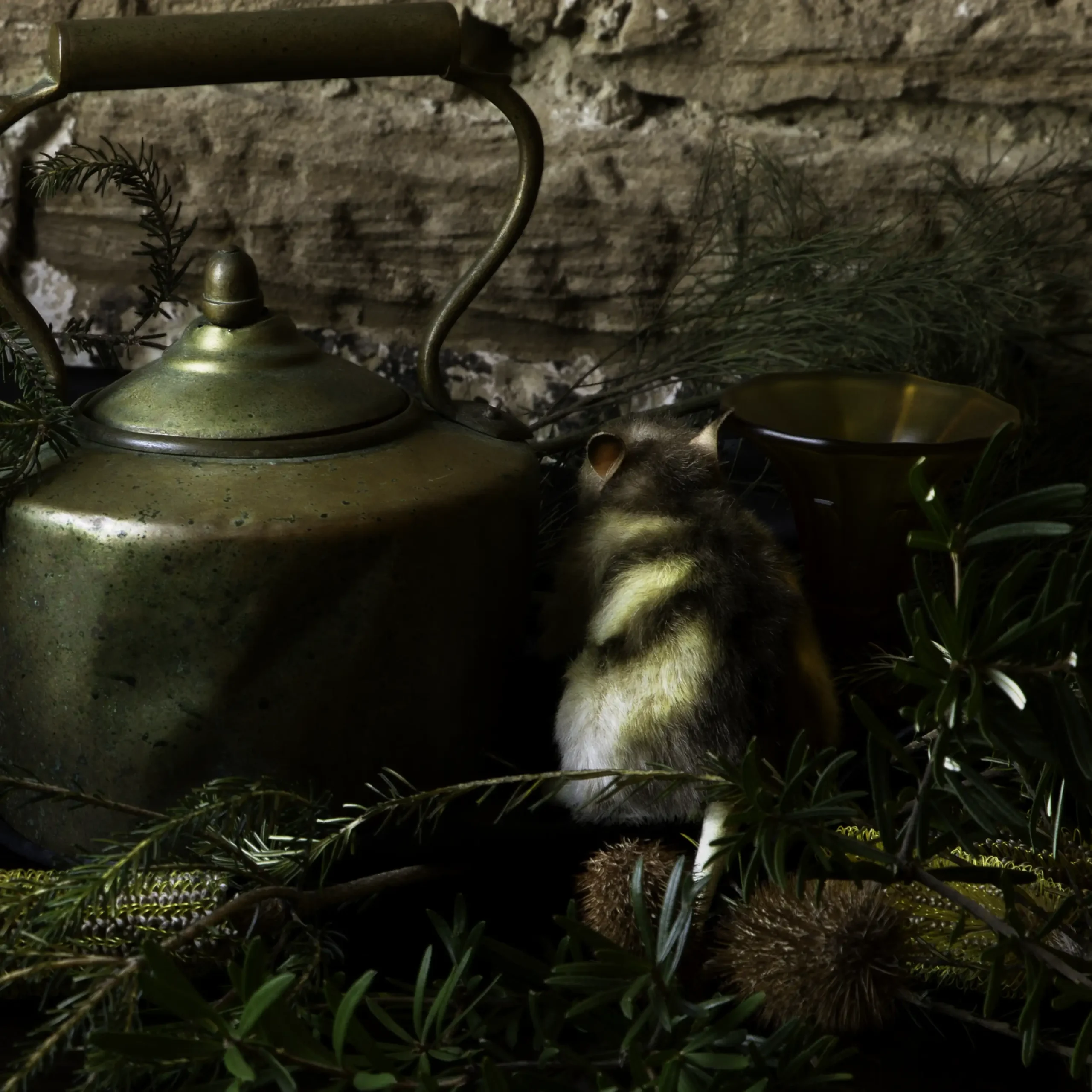 'The Homecoming' Tasmanian Still Life Limited Edition by Emma Coombes at the Elm & the Raven