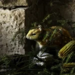 'The Homecoming' Tasmanian Still Life Limited Edition by Emma Coombes at the Elm & the Raven