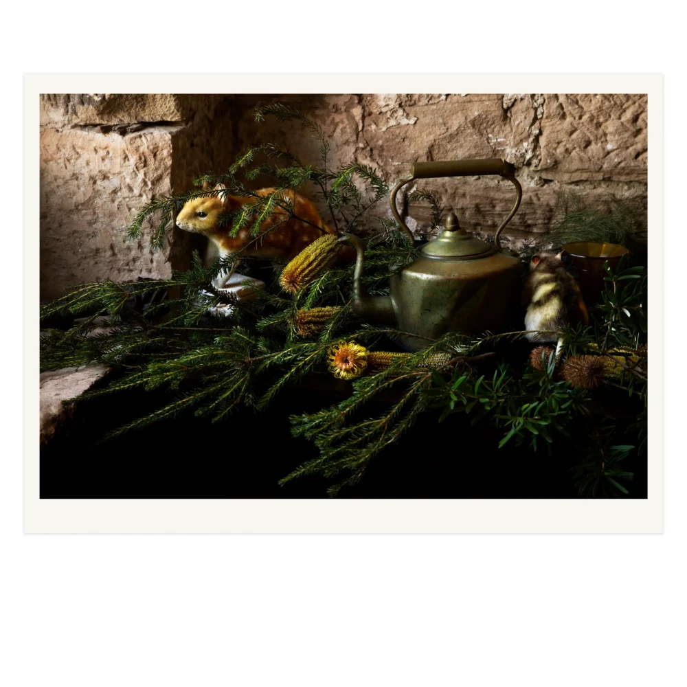 'The Homecoming' Tasmanian Still Life Limited Edition by Emma Coombes at the Elm & the Raven