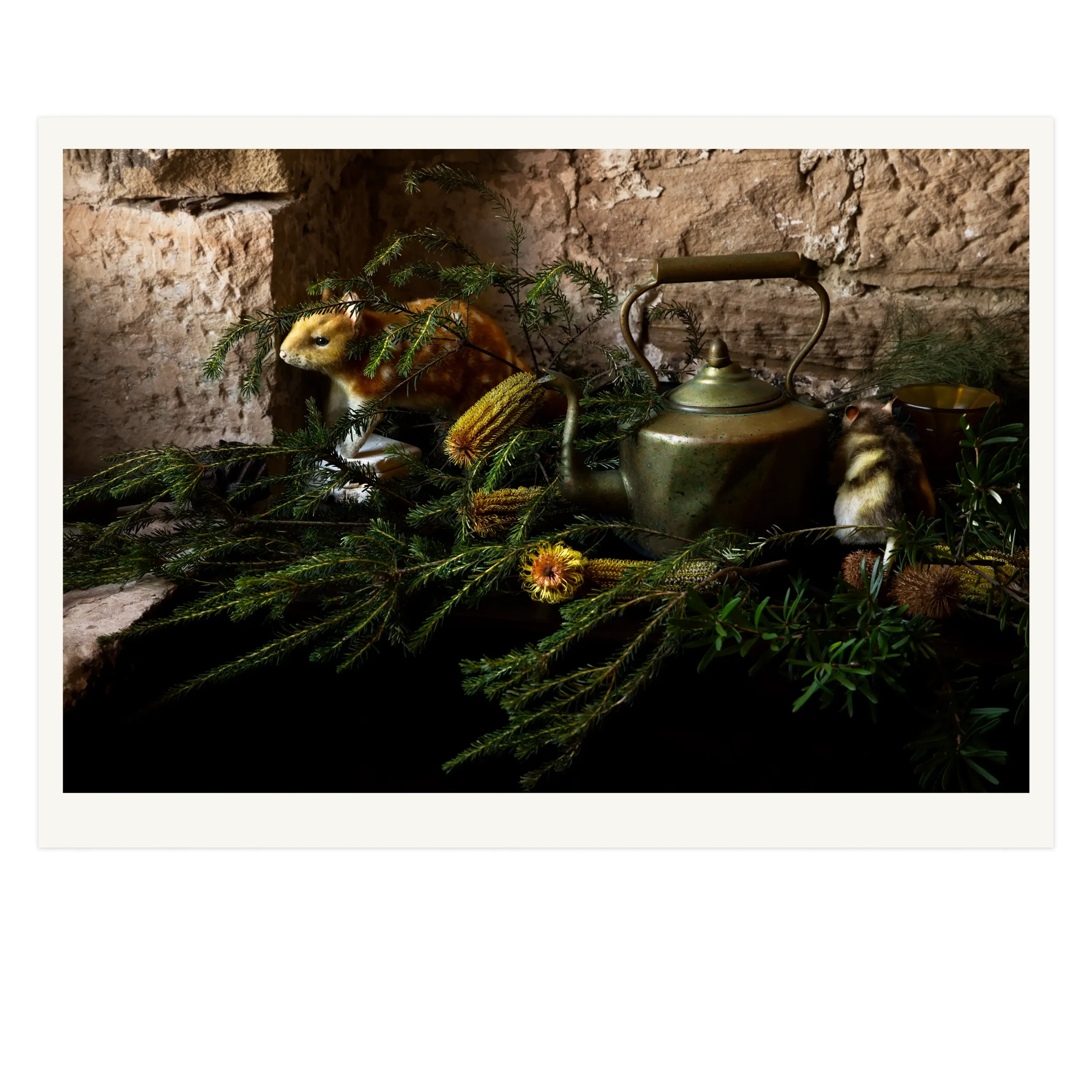 'The Homecoming' Tasmanian Still Life Limited Edition by Emma Coombes at the Elm & the Raven