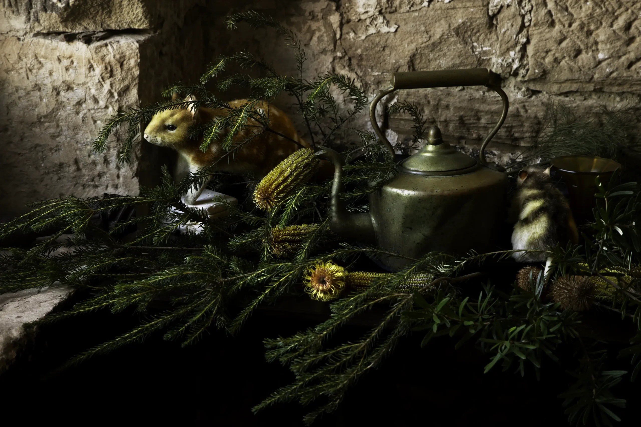 'The Homecoming' Tasmanian Still Life Limited Edition by Emma Coombes at the Elm & the Raven