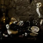 'Treasure Island' Tasmanian Still Life Limited Edition by Emma Coombes at the Elm & the Raven