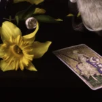 'Victory' Tasmanian Still Life Limited Edition by Emma Coombes at the Elm & the Raven