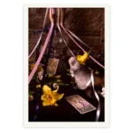 'Victory' Tasmanian Still Life Limited Edition by Emma Coombes at the Elm & the Raven