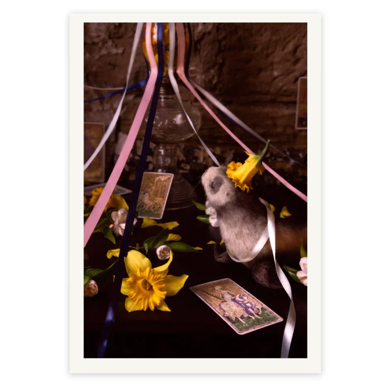 'Victory' Tasmanian Still Life Limited Edition by Emma Coombes at the Elm & the Raven
